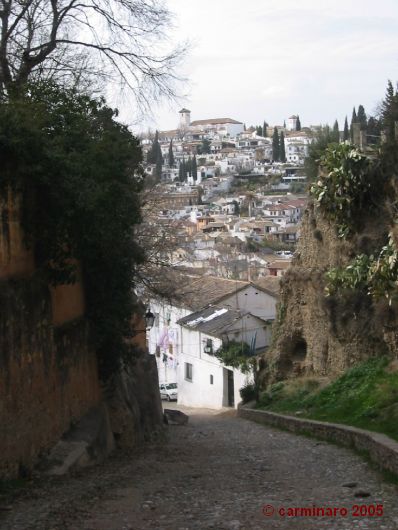 398 X 530 andalucia_2005_caro_085medi.jpg