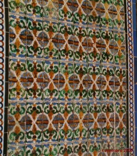 andalucia_2005_caro_194medi 467 X 530