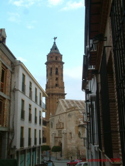 andalucia_2005_caro_025medi 398 X 530
