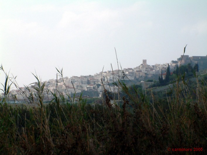 andalucia_2005_caro_140medi 707 X 530