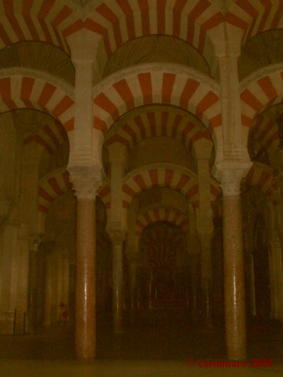 andalucia_2005_caro_109medi 398 X 530