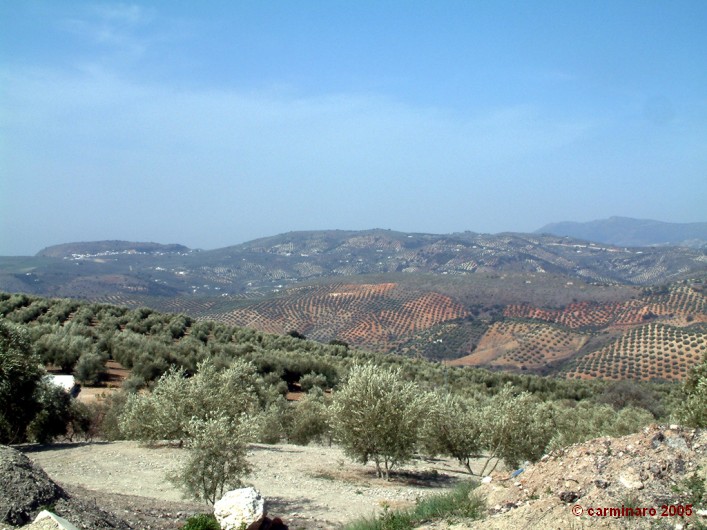 andalucia_2005_caro_229medi 707 X 530