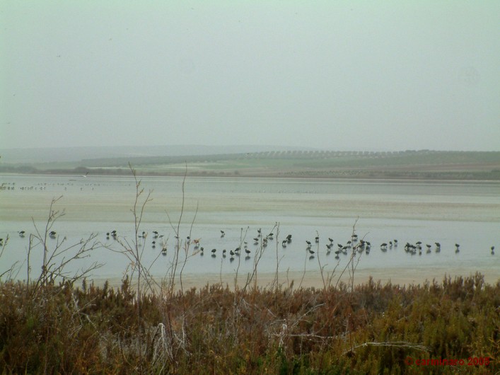 andalucia_2005_caro_273medi 707 X 530