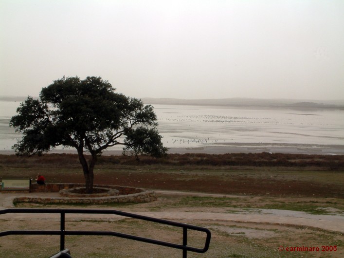 andalucia_2005_caro_279medi 707 X 530