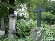 [Click to enlarge image]