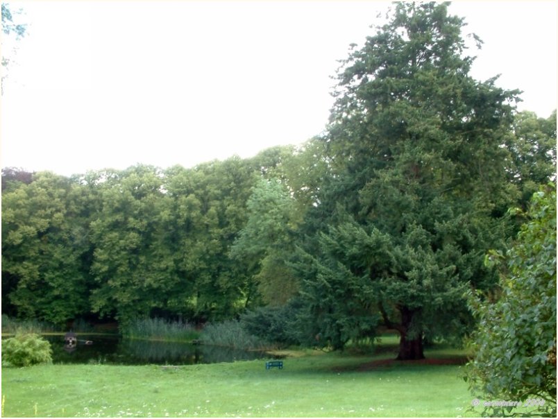 800 X 600