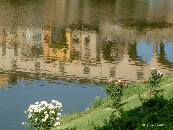 667 X 500 04medi_florenz_spiegelung.jpg