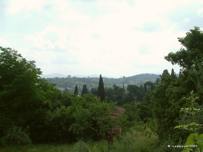 667 X 500 18medi_florenz_oltrarno.jpg