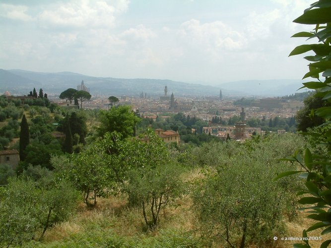667 X 500 19medi_florenz_oltrarno.jpg