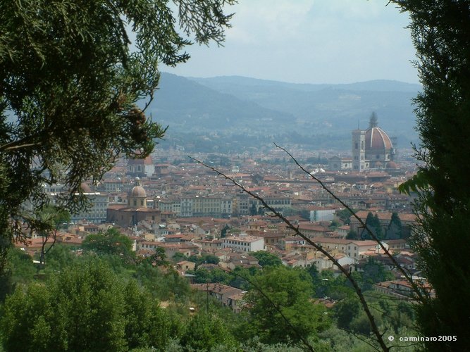 667 X 500 16_florenz_vonoben.jpg