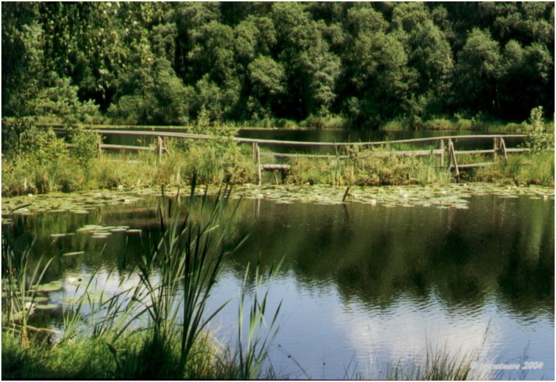 Naturpark Mritz