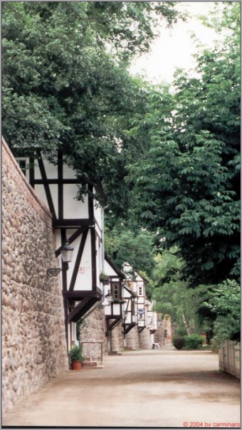 Wiekhaeuser
