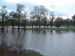 Die Urdenbacher K�mpe ist eine der letzten, nicht eingedeichten und somit noch regelm��ig �berfluteten Auenlandschaften am Niederrhein. 