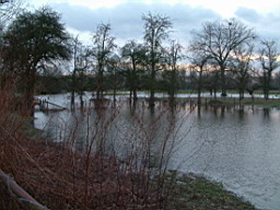Deshalb hei�t es bei Spitzenhochwasser in der gesamten Auenschleife 'Land unter' 