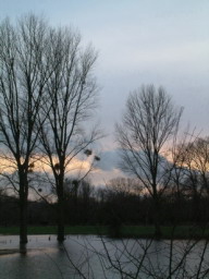 In den extensiv genutzen Feuchtwiesen und Hochstaudenfluren wachsen zahlreiche seltene Pflanzenarten. 