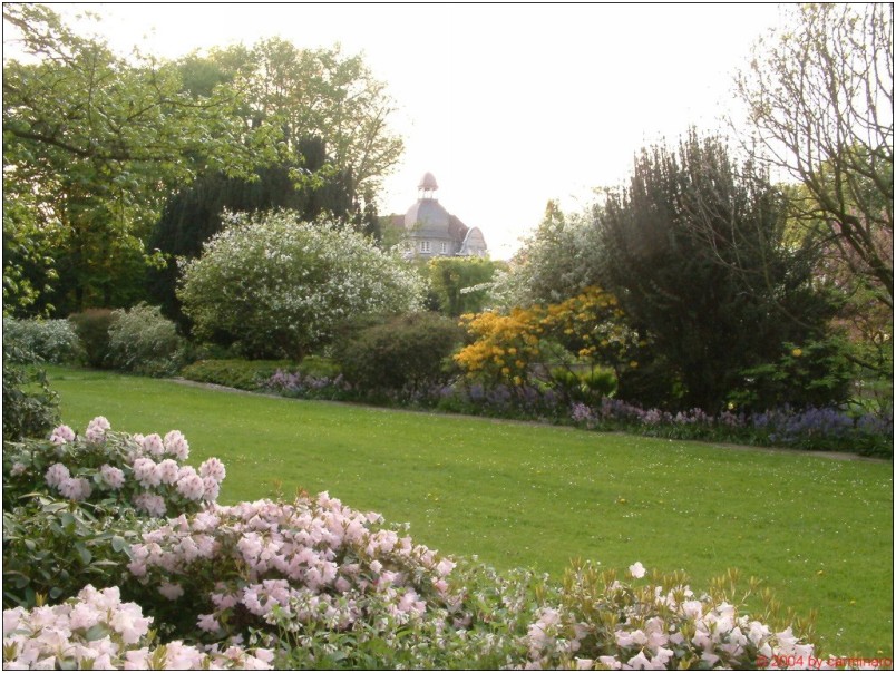 image12 800 X 600 12
