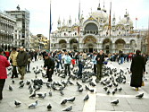 0484_markusplatz.jpg: Venedig
